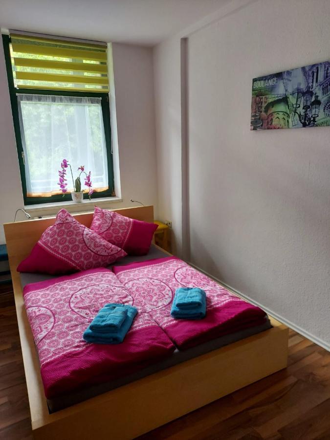 Ferienwohnung Eddi Reichenbach im Vogtland Extérieur photo